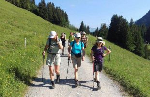 Group trip on the Camino