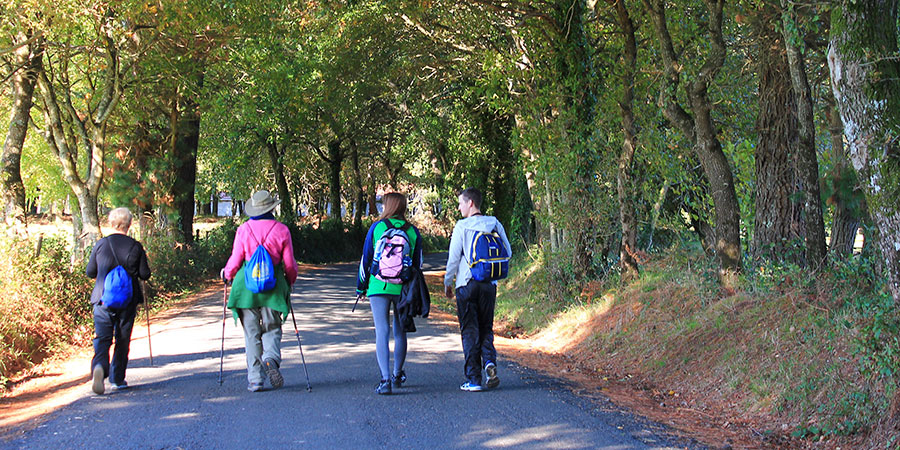 Group walking the Camino