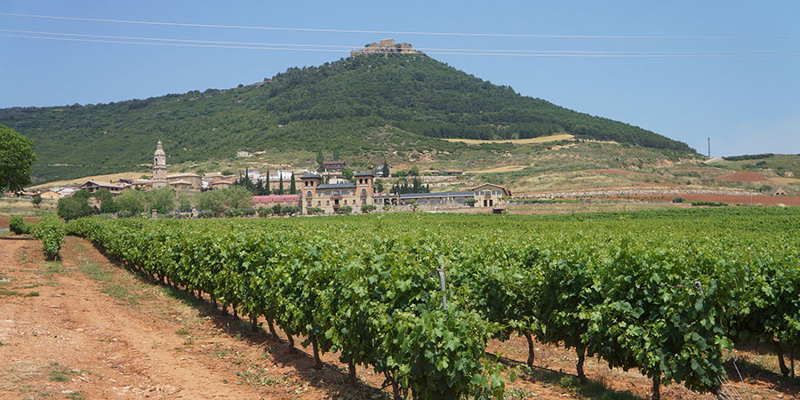 Logrono-la-rioja-wine-region-northern-spain
