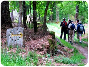 the-camino-plata-ourense