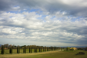 landscapes-Via-Francigena-Gavin-Gough-francigena-ways