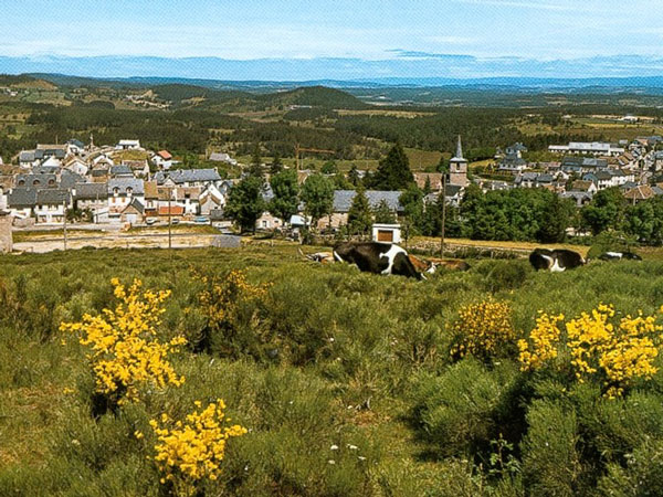 Aubrac, Le Puy
