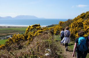Group walking the Kerry Camino