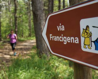pilgrim via francigena forest