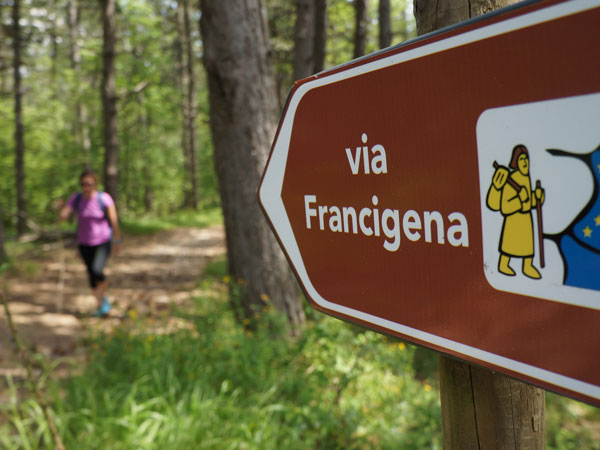 pilgrim via francigena forest