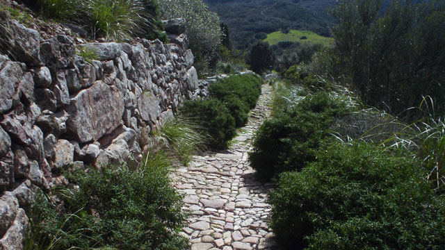 Camino Portugues Central from Tui to Santiago, last 100km