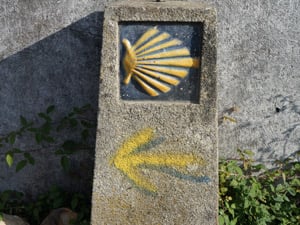shell-arrow-caminoways