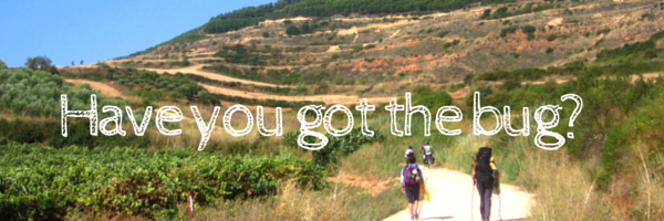 camino newsletter