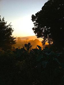 sunrise-camino-de-santiago-galicia-caminoways-2