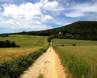 trail via francigena