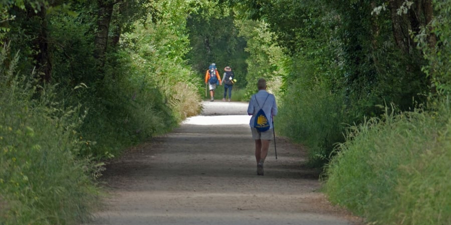 walking-memories-on-the-camino-christmas-competition