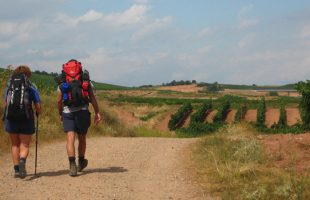 People on the Camino