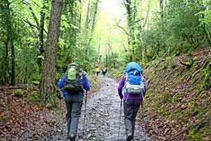 walking-the-camino-footwear-caminoways