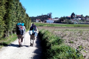 Camino Portugues Central from Tui to Santiago, last 100km